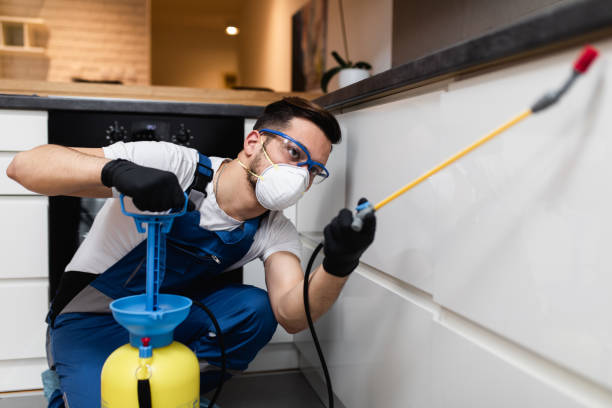 Best Flea Control Services  in Heron Bay, GA