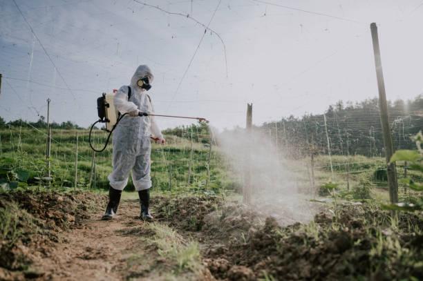 Best Commercial Pest Control Services  in Heron Bay, GA