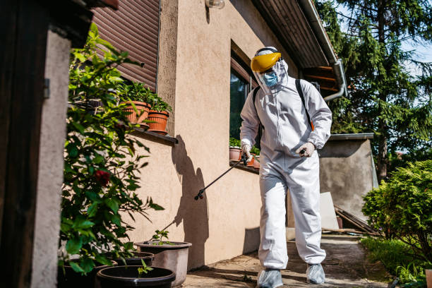 Best Termite Control Services  in Heron Bay, GA