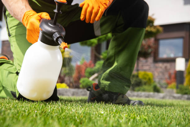 Best Residential Pest Control  in Heron Bay, GA