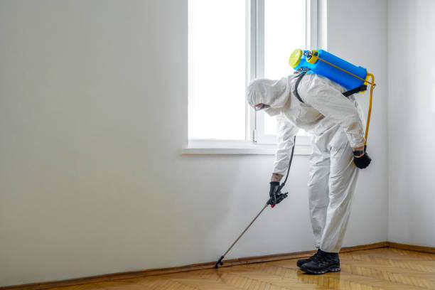 Best Termite Control Services  in Heron Bay, GA