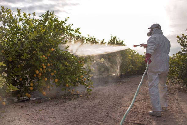 Best Pest Control Cost  in Heron Bay, GA