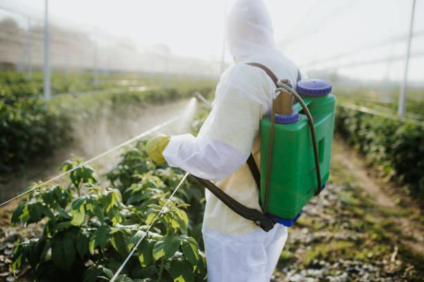 Best Mosquito Control Services  in Heron Bay, GA